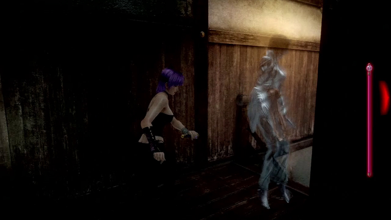 Illustration for article titled You Got Your Dead or Alive in My Fatal Frame